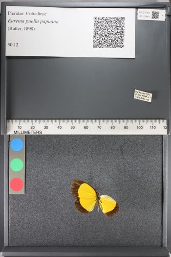 Media type: image;   Entomology 122867